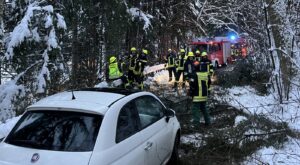 Baum auf PKW Einsatz